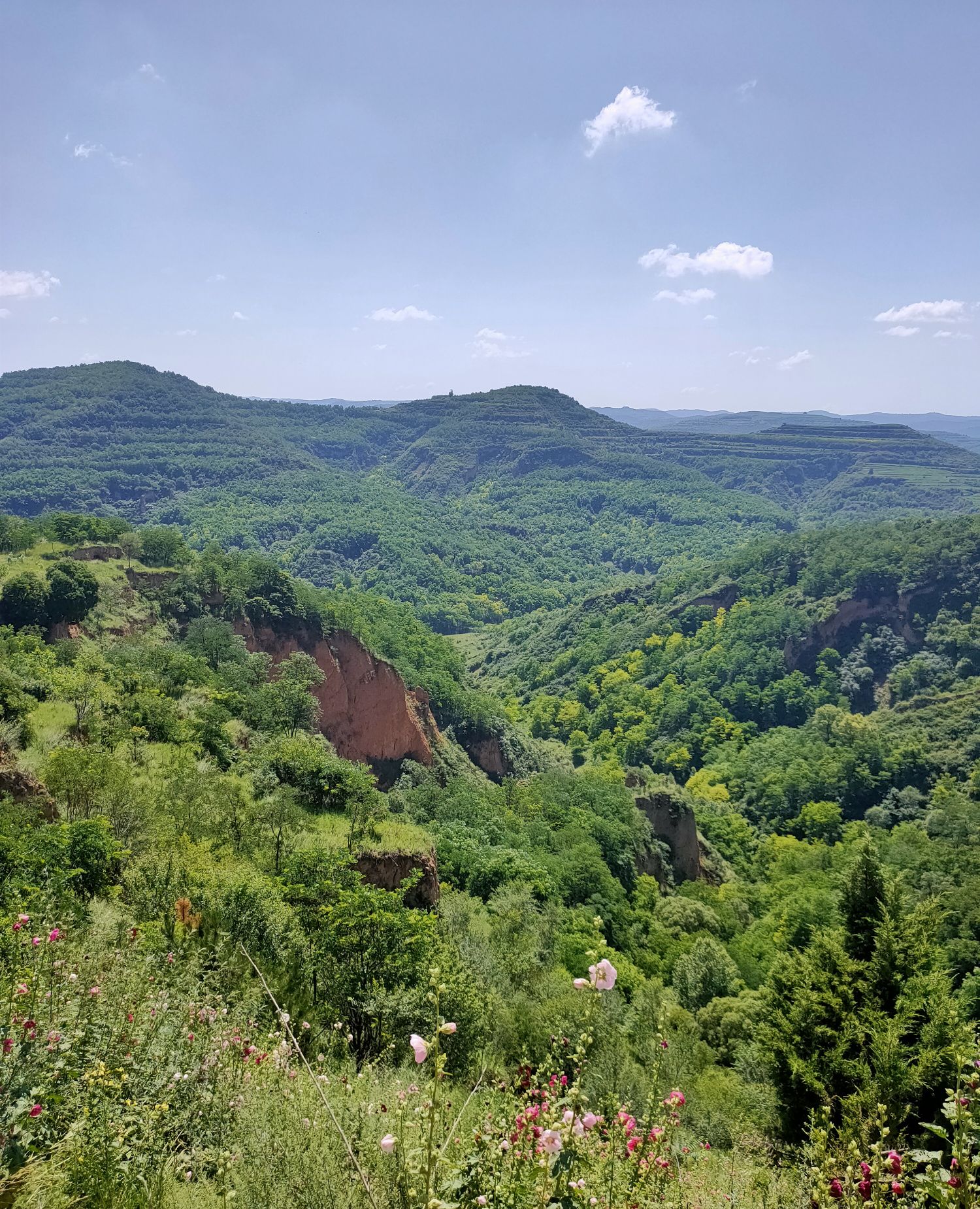 给大家分享一组甘肃省庆阳市正宁县五顷塬的大山秀丽风景