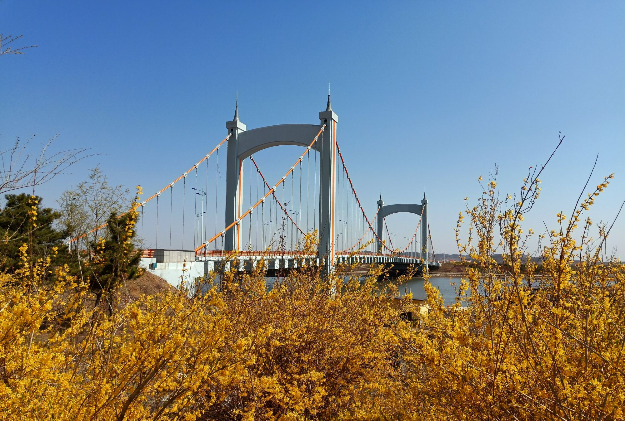 长340米,是目前国内跨径最大自锚式悬索桥,大桥为庄河市二环路的咽喉