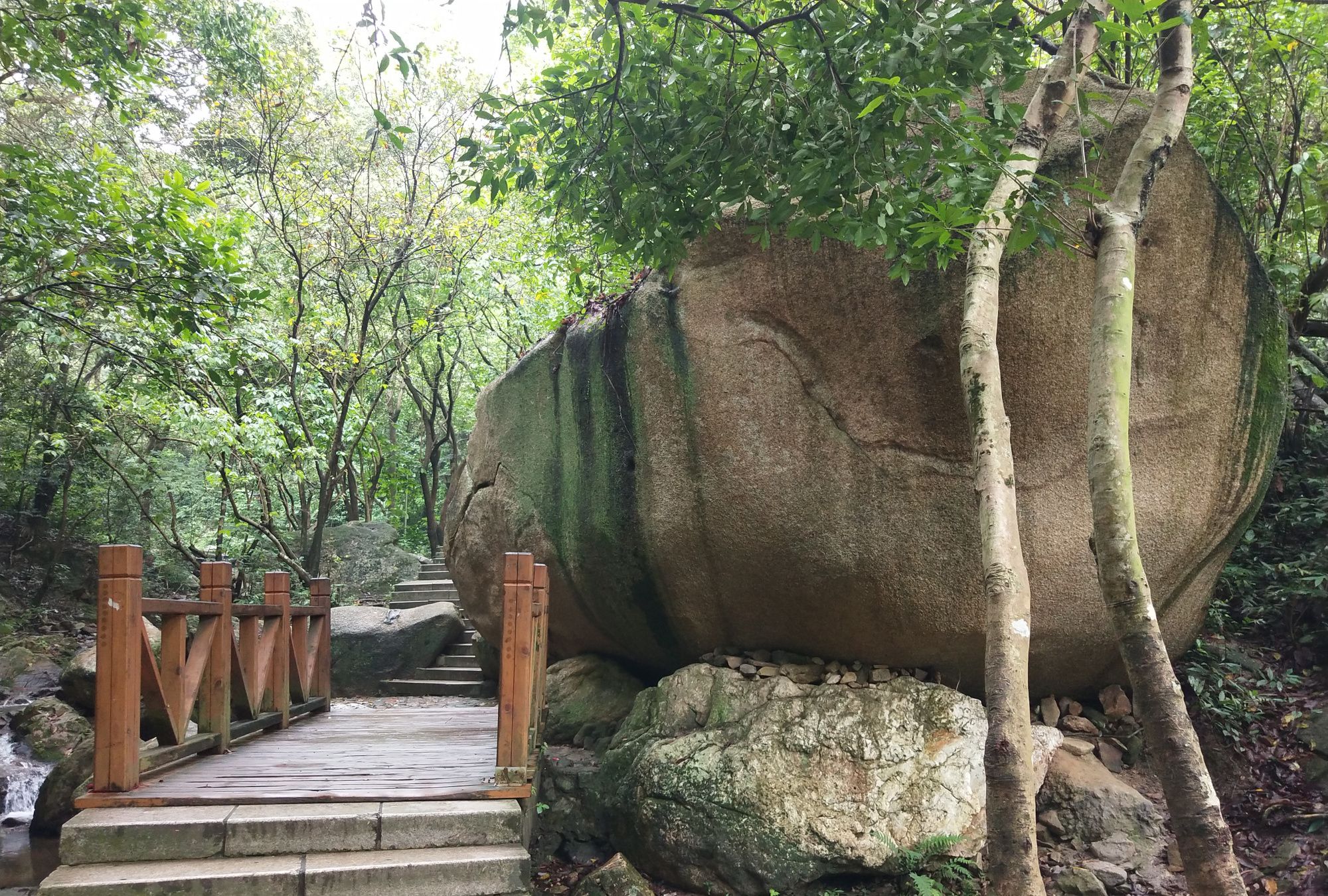 深圳宝安第一山——凤凰山