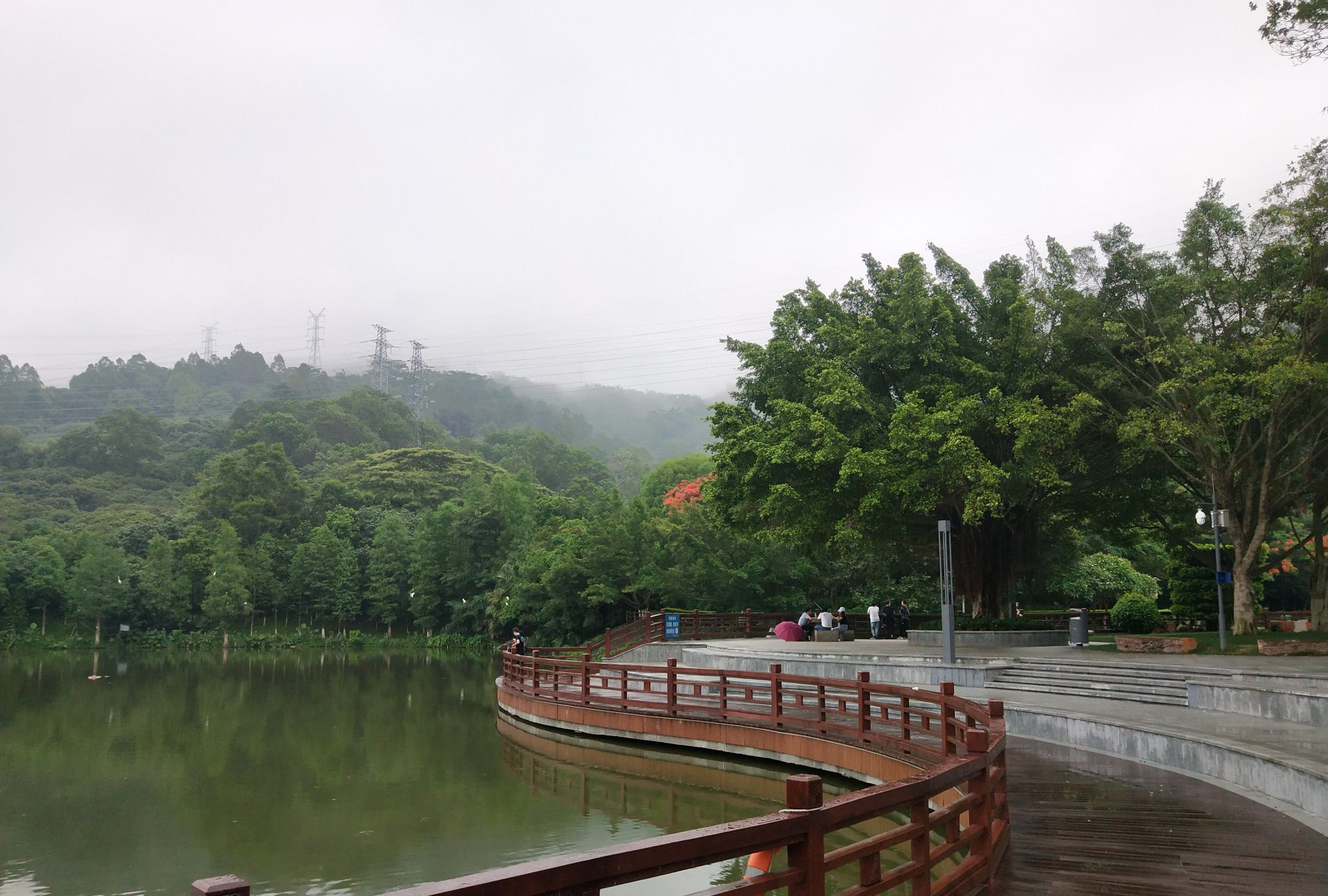 深圳宝安区凤凰山公园图片