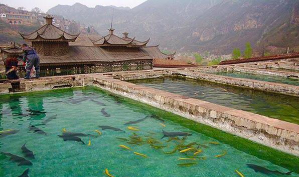 太行水磨头鱼乡,坐竹排,挖野菜,品鳟鱼,游客以为置