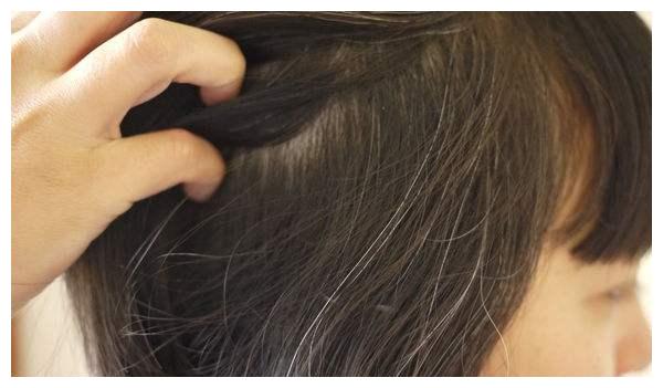 为什么黑人增加那么快，未来会占领全世界吗？谁能阻止...