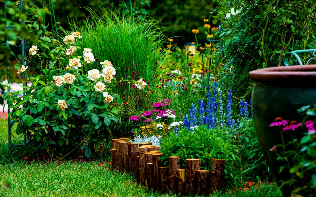 京城不可错过的花园秘境原来就在你身边
