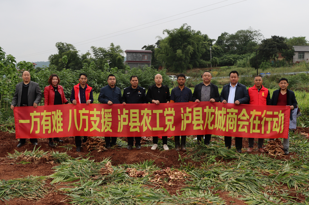 农工党泸县支部助力泸县牛滩镇灾后姜农增收