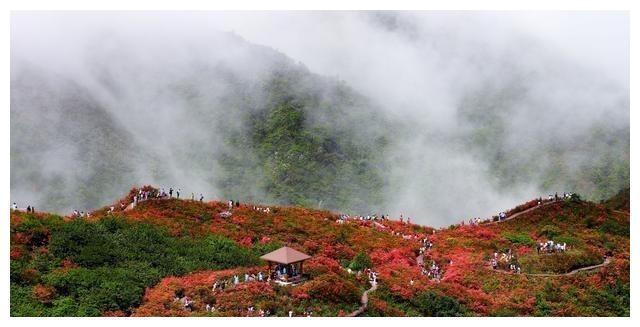 云南又一景区走红,年平均气温在16度,距大理8小时车程休闲区蓝鸢梦想 - Www.slyday.coM 云南又一景区走红,年平均气温在16度,距大理8小时车程休闲区蓝鸢梦想 - Www.slyday.coM