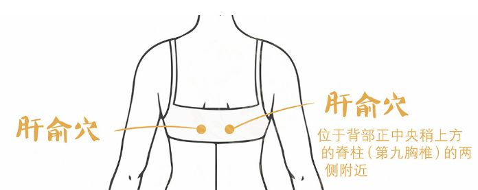 人体的养肝"对穴"肝俞和胆俞,养肝护肝疏肝利胆作用更强__财经头条