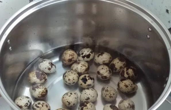 煮鹌鹑蛋应该凉水下锅,还是开水下锅?很多人不懂,煮的都是烂的休闲区蓝鸢梦想 - Www.slyday.coM 煮鹌鹑蛋应该凉水下锅,还是开水下锅?很多人不懂,煮的都是烂的休闲区蓝鸢梦想 - Www.slyday.coM