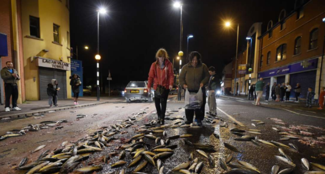 这个国家天上会掉鱼雨一下雨满街都是鱼居民却都不愿意捡
