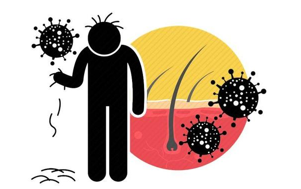 全国爱发日：每天都掉发，是脱发？医生解释：没超这数，问题不大休闲区蓝鸢梦想 - Www.slyday.coM