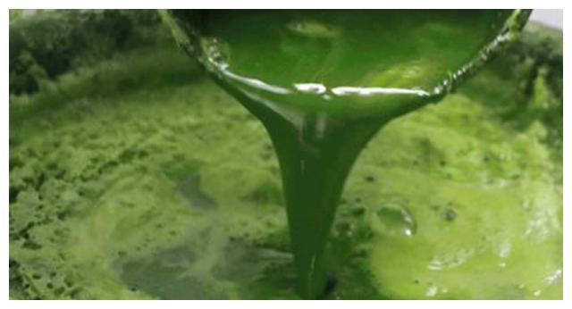 昆山这家百年青团老店，排队1小时才能买到，上海爷叔坐高铁来买休闲区蓝鸢梦想 - Www.slyday.coM