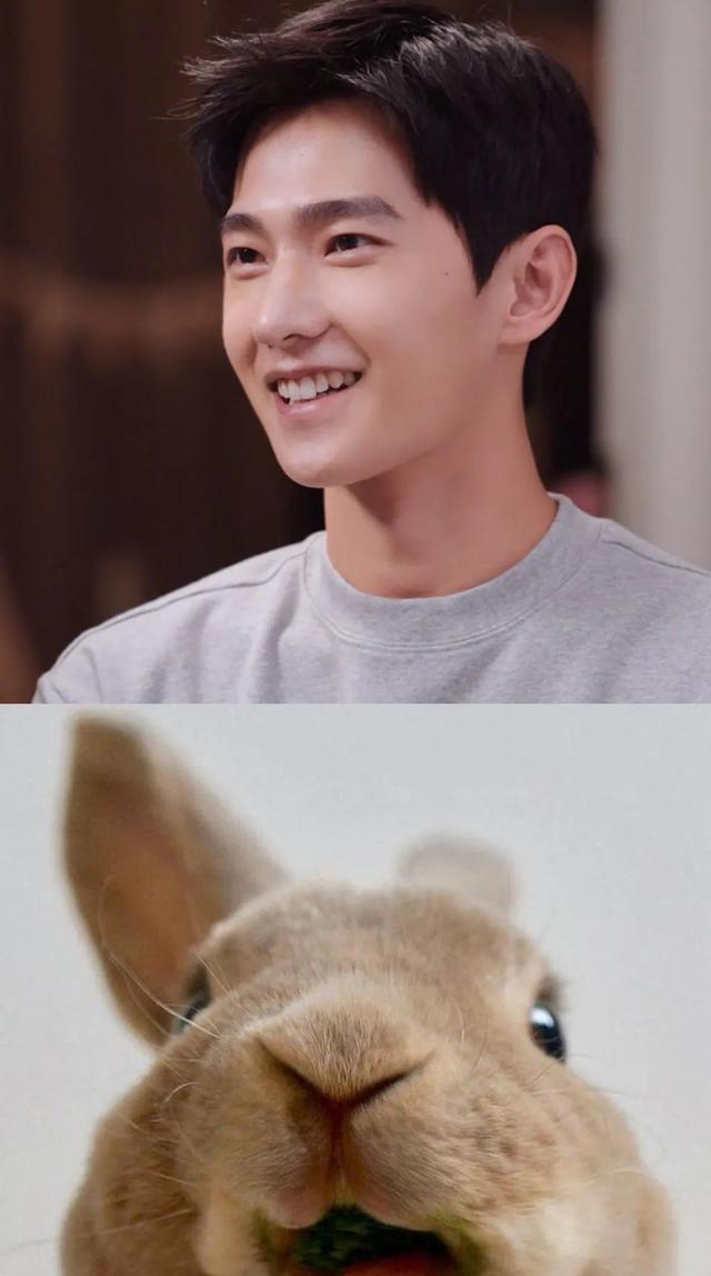 乖巧男友于途超可!除了杨洋,还有哪些软糯糯的兔系明星?