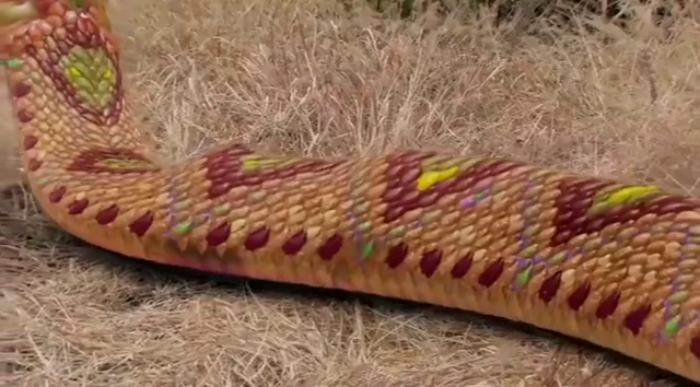 男子被蛇精吞到了肚子里,结果看到结局后亮了