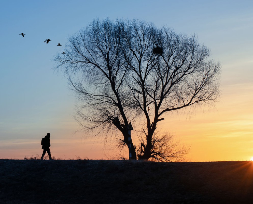 剪影构图的拍摄指导