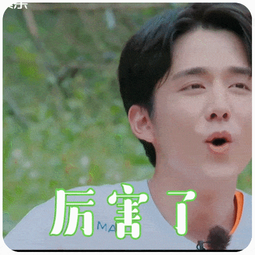 奇妙小森林表情库更新表情管理大师新成张上线