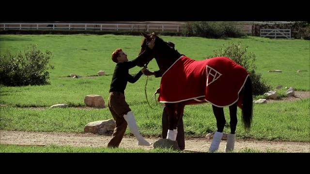 奔腾年代 经典电影和真实传奇故事背后的人生思考