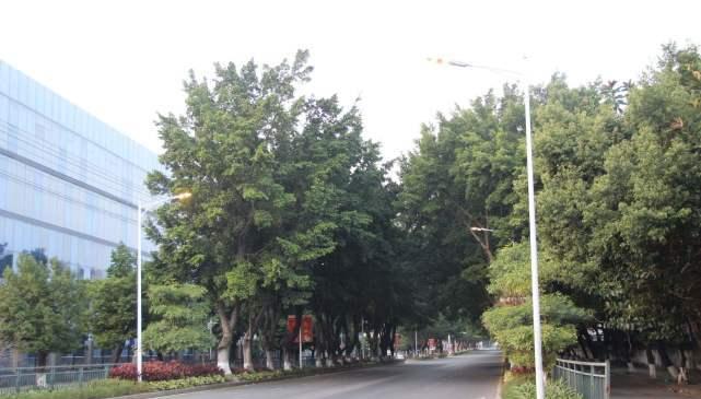 广东没有人口_广东鹤山没有大镇:沙坪街道人口超20万,其他镇没有突破5万