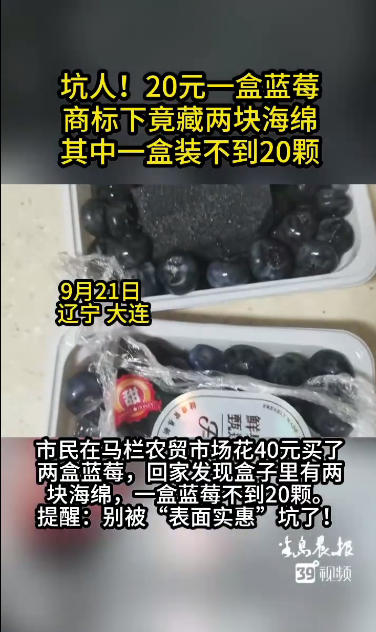 表面实惠,暗藏玄机!20元一盒蓝莓暗藏海绵,每盒不到20颗 表面实惠,暗藏玄机!20元一盒蓝莓暗藏海绵,每盒不到20颗