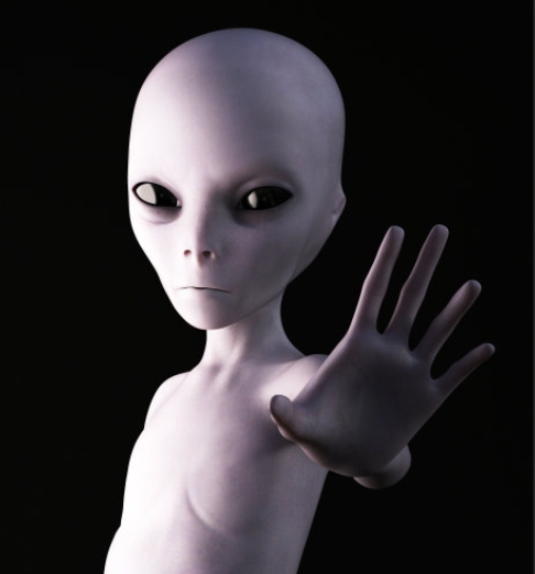 有点像外星人|外星人|模组|华为_新浪新闻