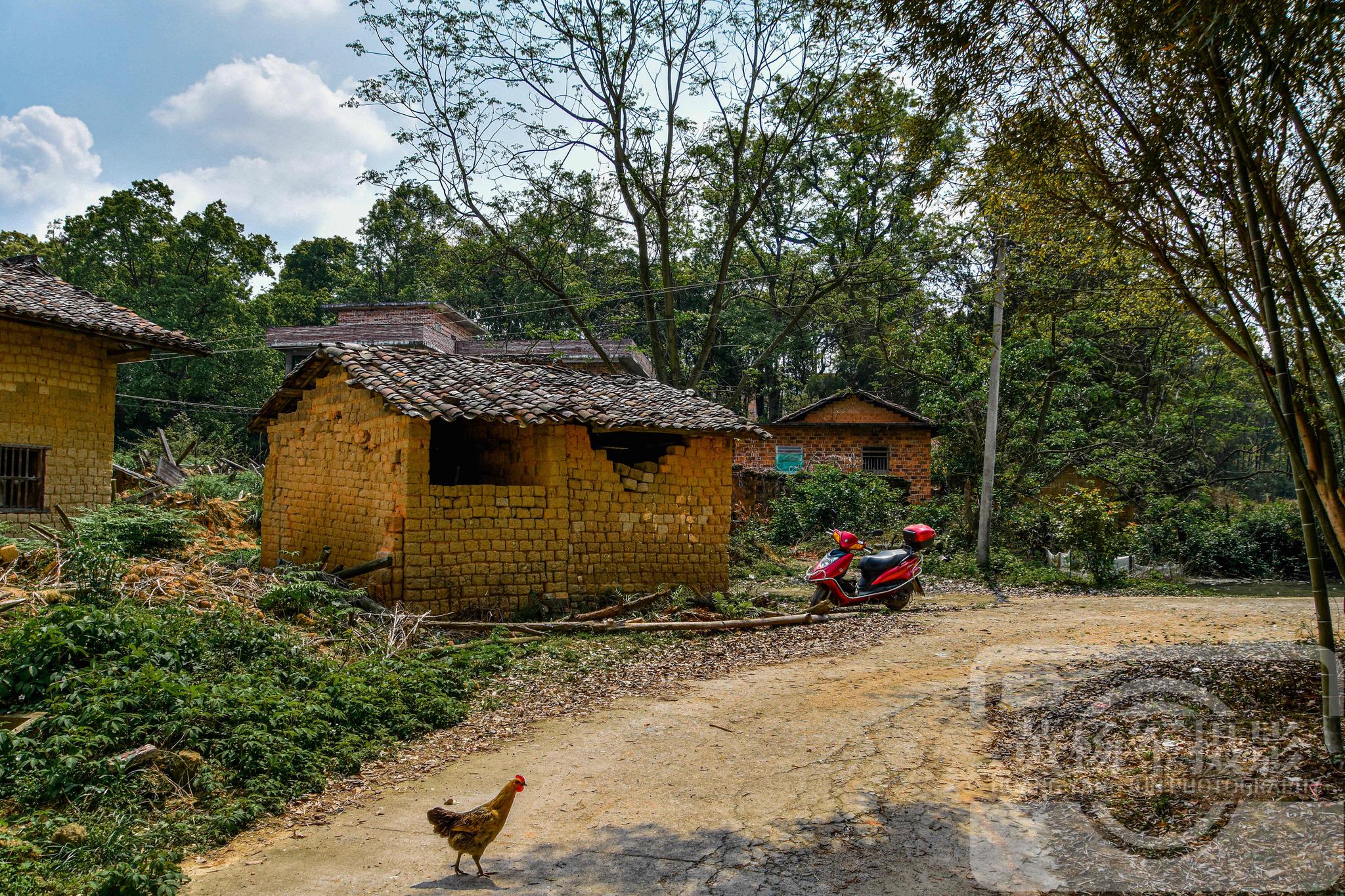江西赣县区盈源村故乡的原风景,阳光下的赣南老屋是