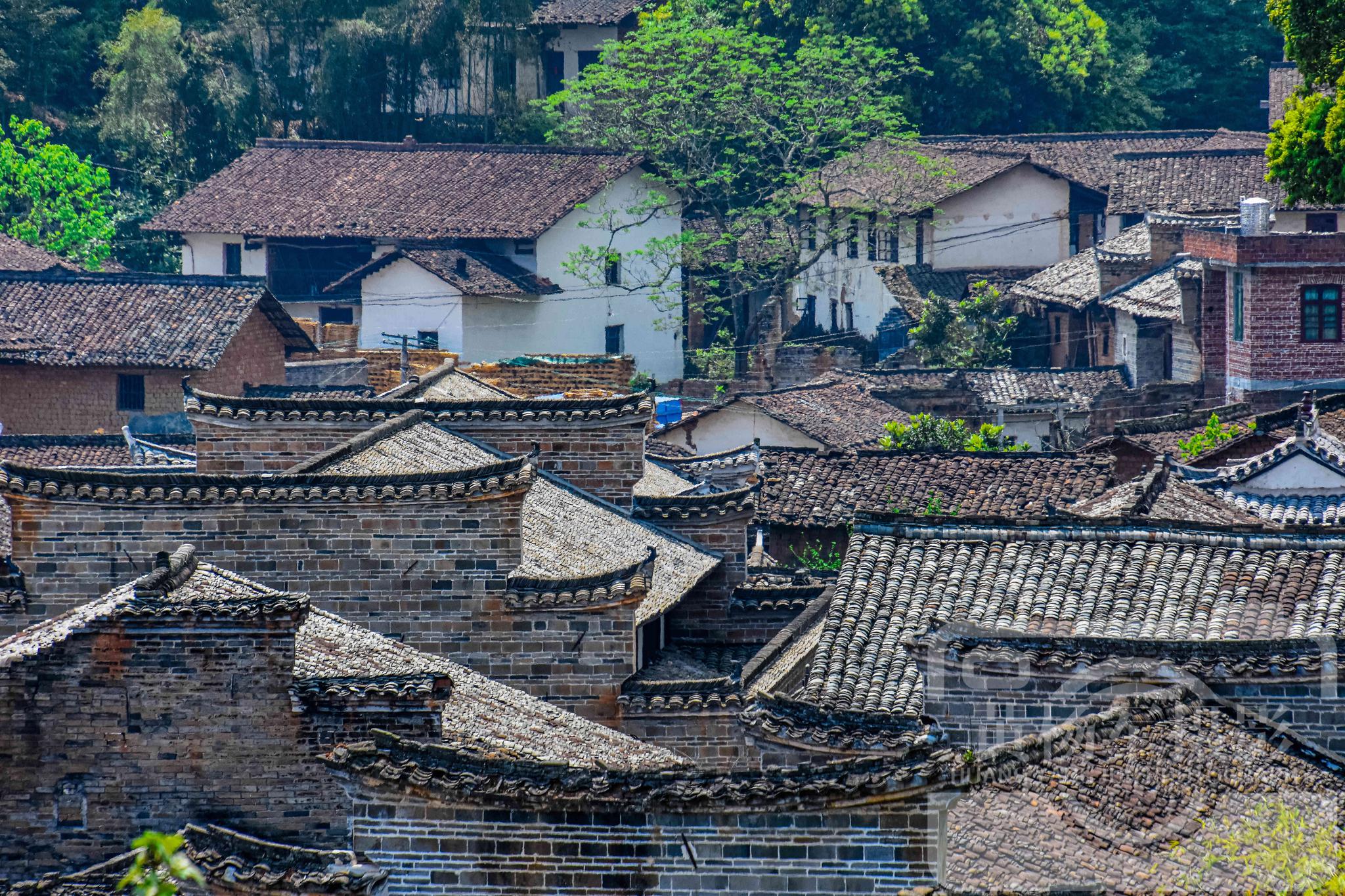赣州赣县区白鹭古村的春色,大山里的赣南古村春意浓,古建筑众多