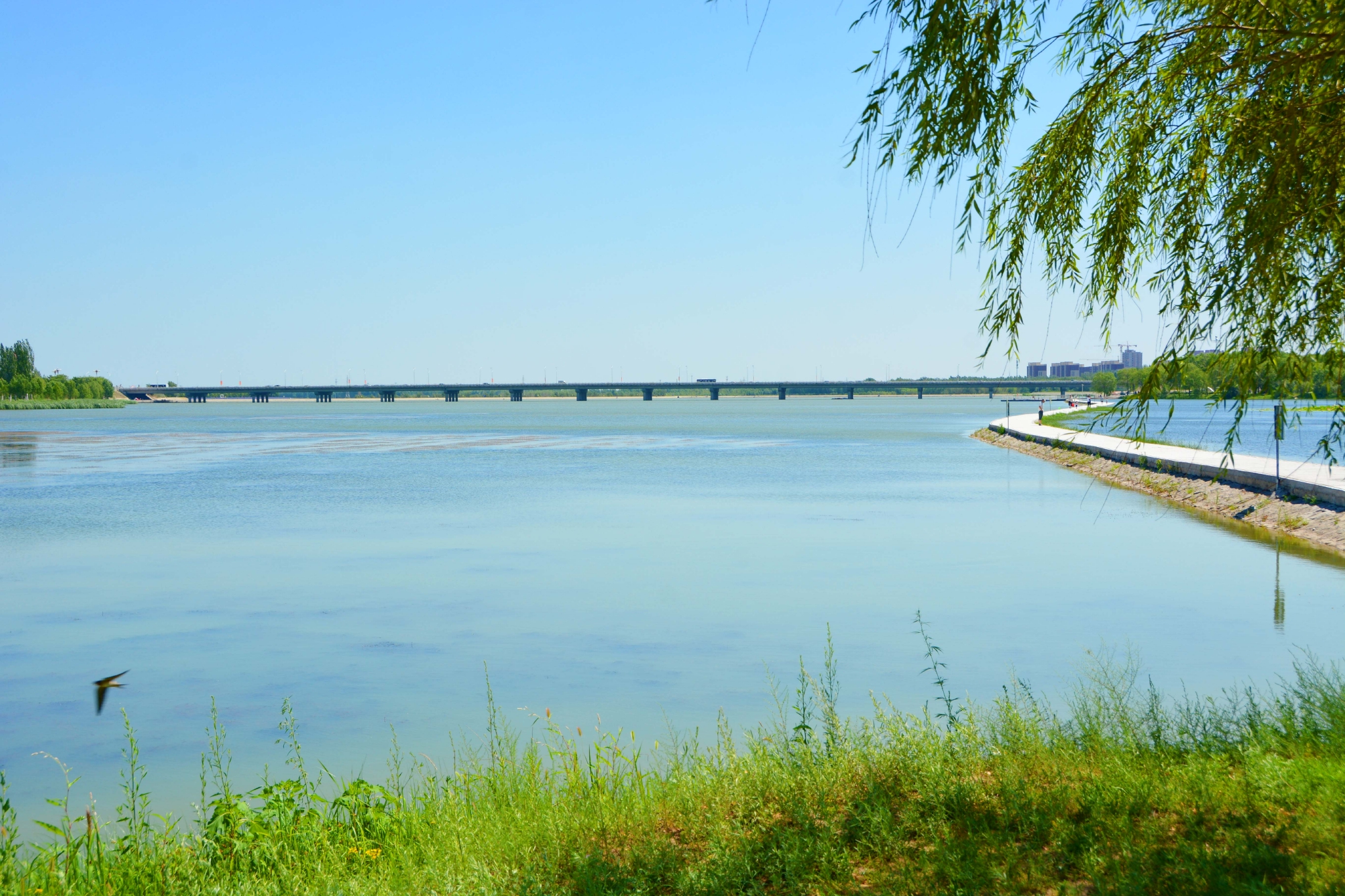 通辽市城市风光原创拍摄