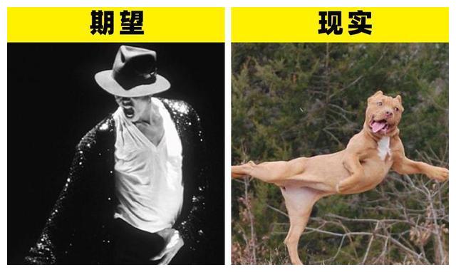 7幅插画让你明白:男人们在生活中的期望与现实的差异