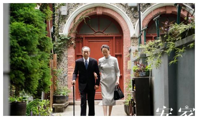 《安家》老油条养小三?原配家暴后又大闹门店,房似锦仗义出手