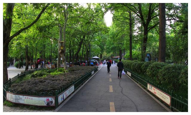 信阳最让人难忘的公园:有40年历史,一个滑梯用了38年