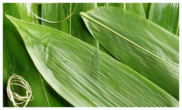 是用粽叶包裹糯米和其它辅料制成的一种食物,目前市面上常见的粽子叶