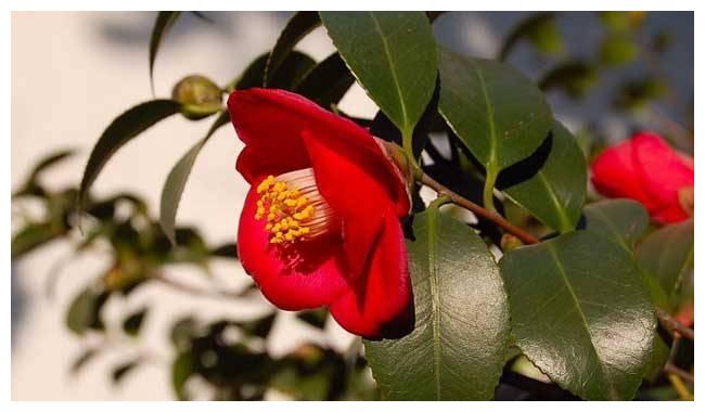 12月8日 14日 生涯顺利 财源大开 事业起伏的4大生肖 生肖 财源 生涯 新浪新闻 12月8日 14日 生涯顺利 财源大开 事业起伏的4大生肖 生肖 财源 生涯 新浪新闻