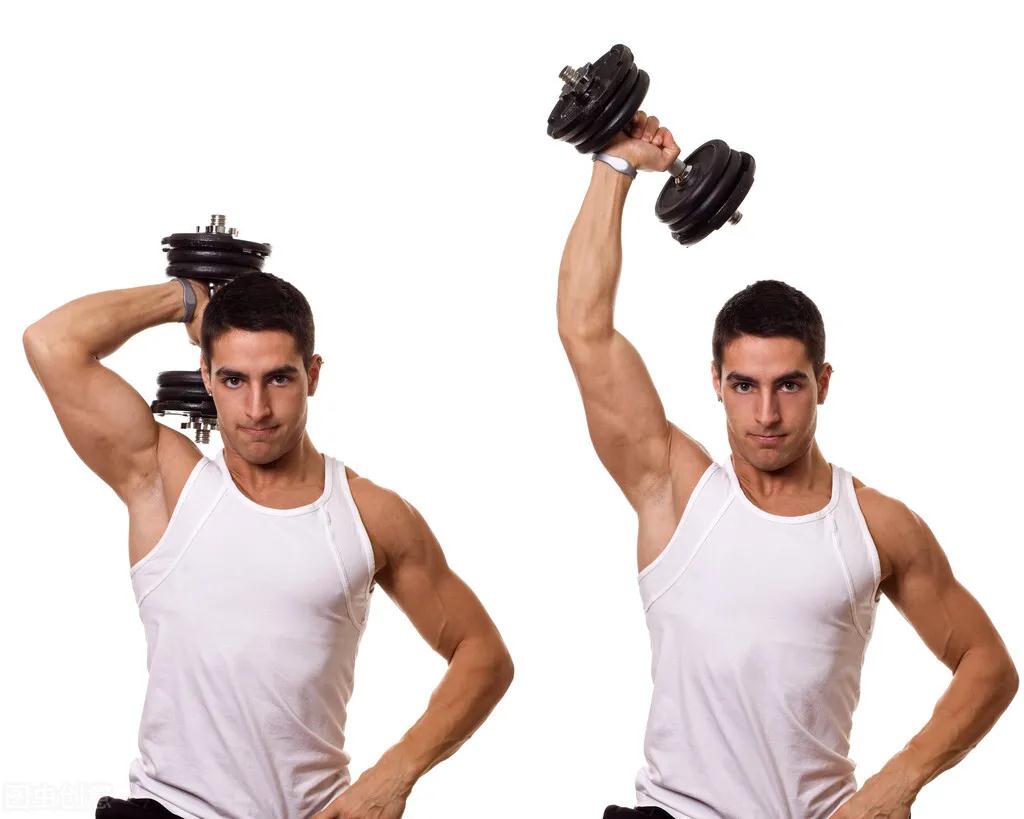 上臂肌肉锻炼图片