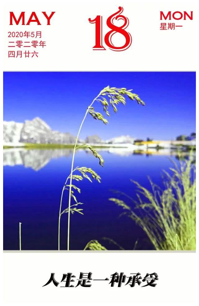 日历2020年5月18日星期一|日历|决心|人生_新浪新闻