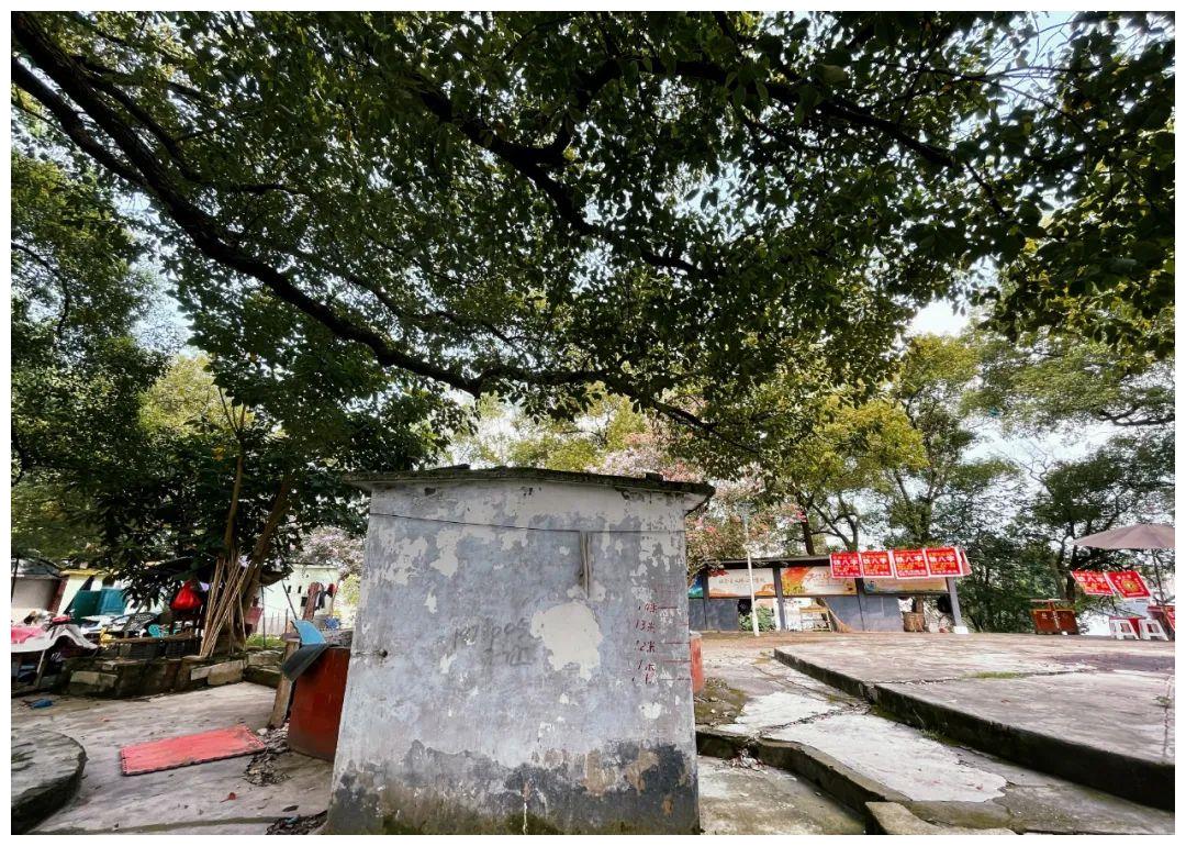 今日头条:再见,富顺五府山!