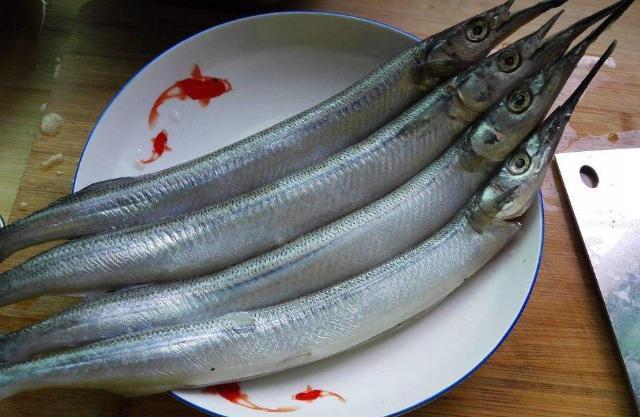 而在众多的鱼类中,小编首选的就是良鱼了,这是一种无鳞海鱼,因为鱼嘴