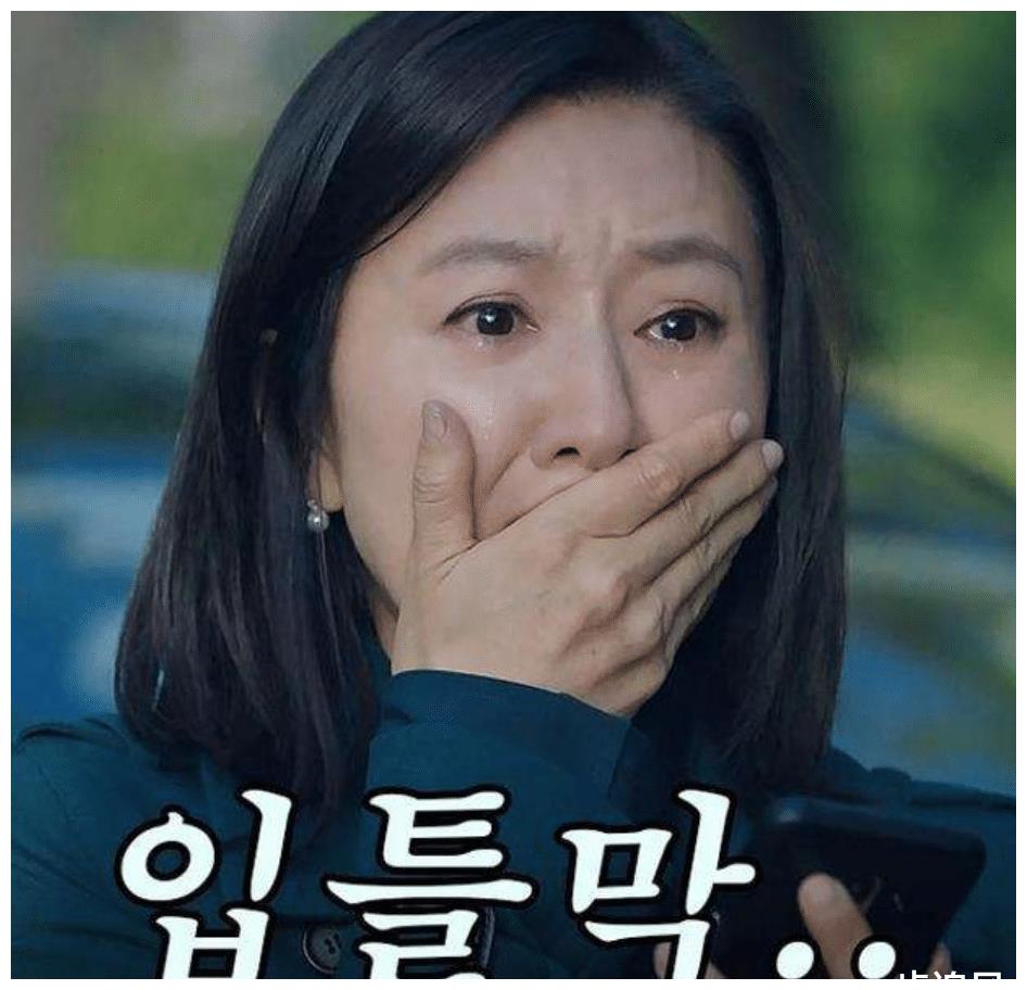 直到发现,坐实丈夫李泰奥对婚姻的不忠后,女主角池善雨发起报复,可没