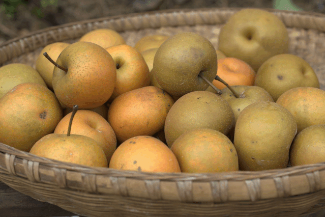 至汇宝"助农行动"走进咸丰,为您带来甜蜜多汁的长十郎梨!__财经头条