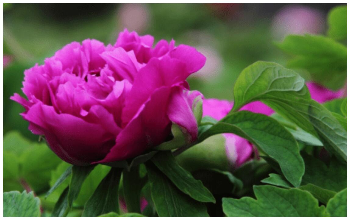 8月25日起贵人坐镇 哪些星座喜事滚滚来 喜事 星座 贵人 新浪新闻