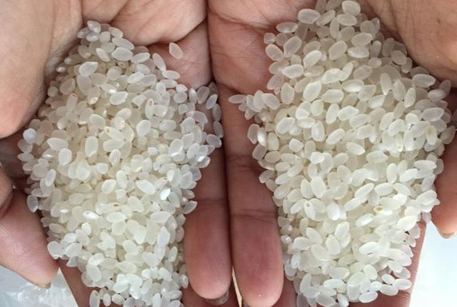 超市买大米,别看牌子,只要“认准”包装上的这行字,都是好大米休闲区蓝鸢梦想 - Www.slyday.coM 超市买大米,别看牌子,只要“认准”包装上的这行字,都是好大米休闲区蓝鸢梦想 - Www.slyday.coM