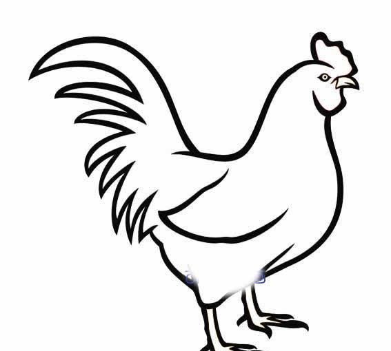 69,81年属鸡人最好干什么?