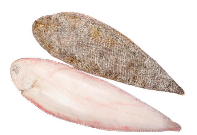 龙利鱼小孩最喜欢了但你不知道商贩从来不给自己家人吃