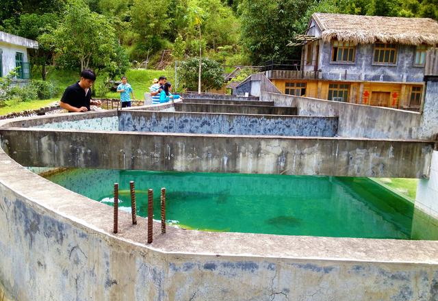 海南尖峰岭,最美十大森林之一,距三亚90公里,天池水面有600亩休闲区蓝鸢梦想 - Www.slyday.coM 海南尖峰岭,最美十大森林之一,距三亚90公里,天池水面有600亩休闲区蓝鸢梦想 - Www.slyday.coM