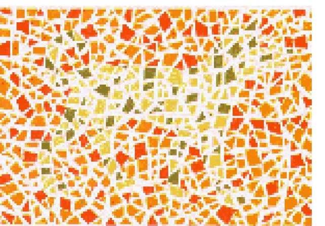 色盲测试,分辨不出颜色形状,尽早治疗,不然没法开车-新浪汽车