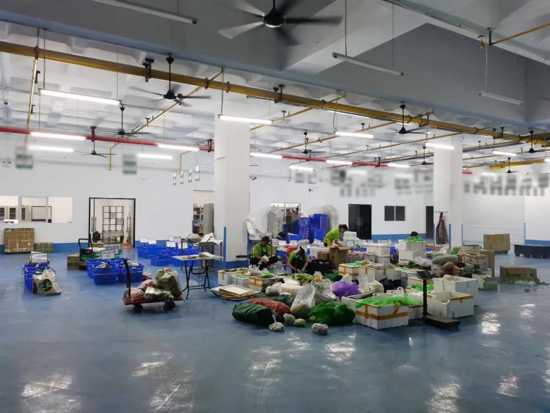 蔬东坡:蔬菜配送公司的生鲜品控需做好两大方面__财经头条