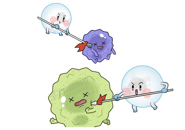 白血病与5个原因有关,请尽量远离|白血病|白细胞|慢性白血病_新浪新闻