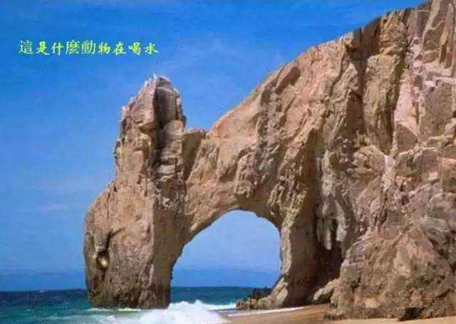 路过亲戚家打算借宿一晚,对方爱答不理的,是否以后还有必要来往休闲区蓝鸢梦想 - Www.slyday.coM 路过亲戚家打算借宿一晚,对方爱答不理的,是否以后还有必要来往休闲区蓝鸢梦想 - Www.slyday.coM