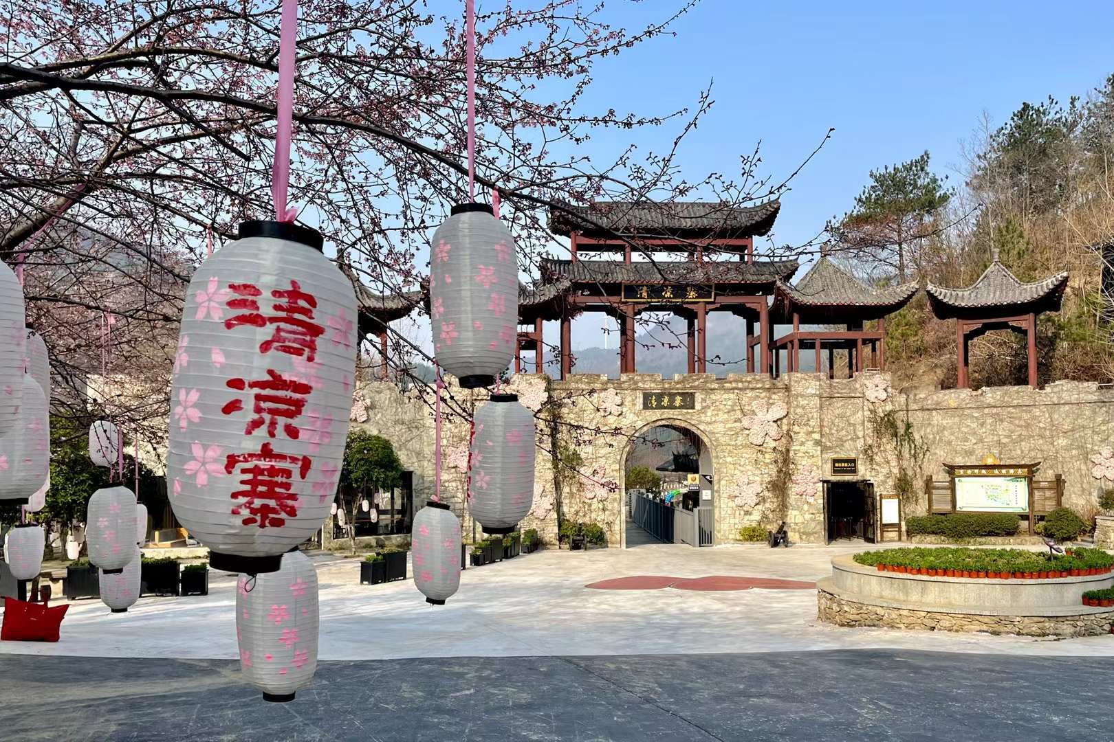 樱花绽放的春天(武汉市黄陂区清凉寨)