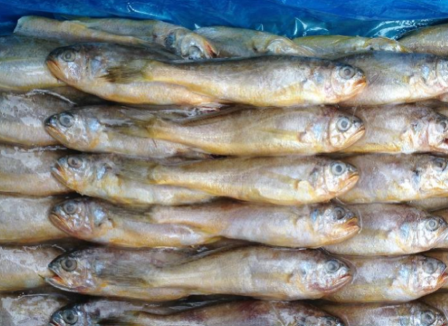 1块钱一包的小辣鱼,“原材料”是什么?看完以后再也不吃了!休闲区蓝鸢梦想 - Www.slyday.coM 1块钱一包的小辣鱼,“原材料”是什么?看完以后再也不吃了!休闲区蓝鸢梦想 - Www.slyday.coM