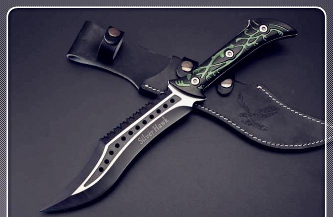 「鉴赏」一体柄猛虎刀