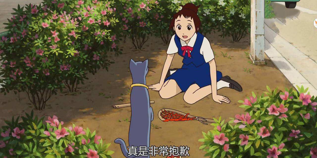 猫的报恩感恩变麻烦生活可以随心所欲但不能活成别人的样子