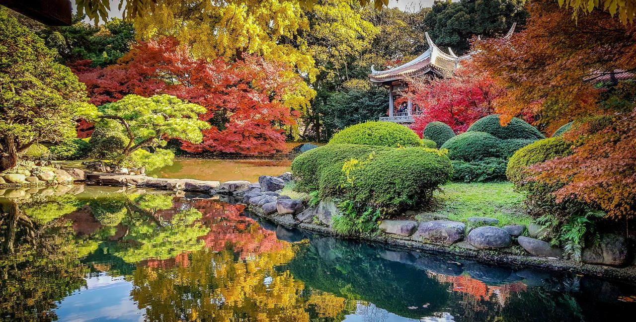 新宿御苑 东京最大的日式庭园和法式庭园相结合的公园